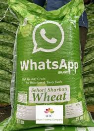 Whatsapp Gahu 30kg